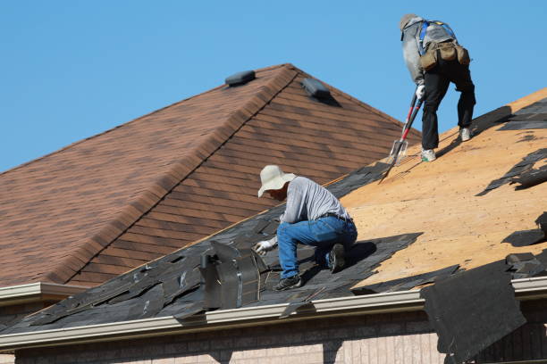 Best Chimney Flashing Repair  in Woodward, IA